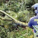 Hünxe: Einsatz wegen Sturmschaden – Baum blockierte Straße