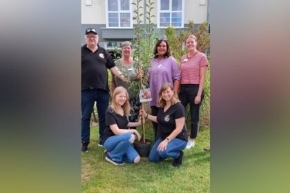 Kuriose Challenge: Voerder nominieren sich – Baum oder Wurst?