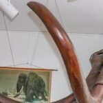 Offener Museumstag 2025 in Hünxe: Hier gibt es etwas zu sehen