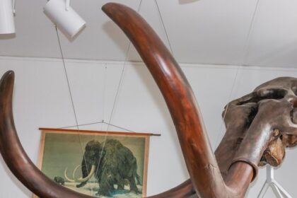 Offener Museumstag 2025 in Hünxe: Hier gibt es etwas zu sehen