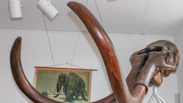 Offener Museumstag 2025 in Hünxe: Hier gibt es etwas zu sehen