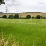 Stichwahl in Dinslaken: Was passiert danach in Barmingholten?