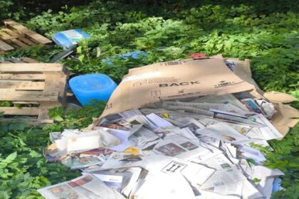 Bis zu 150 wilde Müllkippen im Jahr – „Ärgernis für alle“