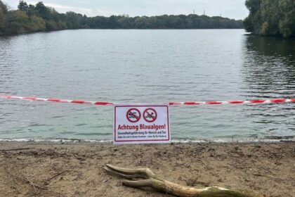 Blaualgen im Tenderingssee: Gemeinde Hünxe sperrt Gewässer