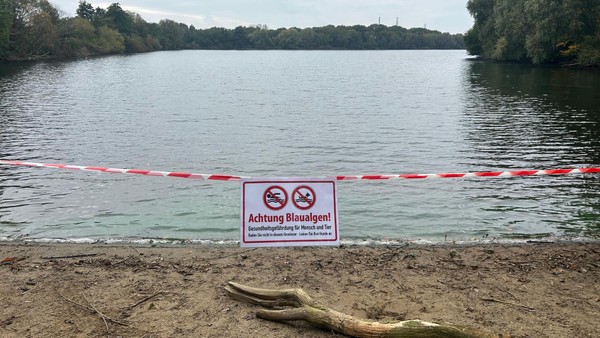 Blaualgen im Tenderingssee: Gemeinde Hünxe sperrt Gewässer