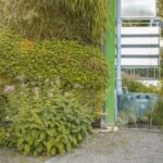 Dach begrünen, Flächen entsiegeln: Hier gibt es Fördermittel