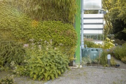 Dach begrünen, Flächen entsiegeln: Hier gibt es Fördermittel