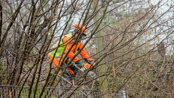 Hünxe: Baumarbeiten an der B58 – Forstamt kündigt Verkehrsbehinderungen an