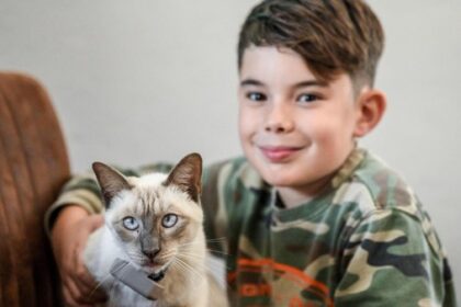 Nach Rettung aus Schleusenkammer: So geht es Kater Carlos