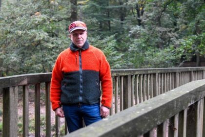 Reh halbtot gebissen, Kitz vermisst – es war nicht der Wolf