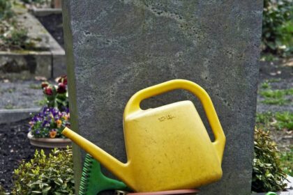 Zahlen der NRW-Statistiker für 2024: Das waren die häufigsten Todesursachen im Kreis Wesel