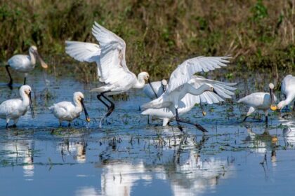 Dieser Kalender ist eine Liebeserklärung: 13 schöne Naturfotos vom Niederrhein