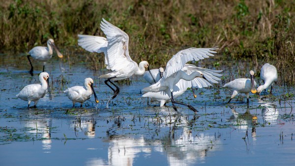 Dieser Kalender ist eine Liebeserklärung: 13 schöne Naturfotos vom Niederrhein