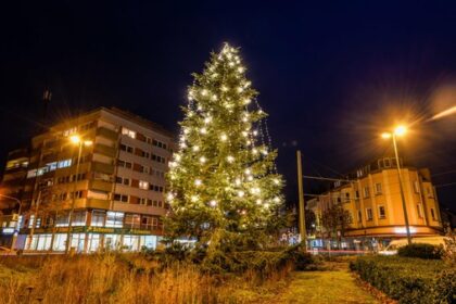 Dinslaken stellt weniger Weihnachtsbäume auf - diese Stellen sind geplant