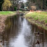 Rotbach in Eppinghoven: Pläne aus 2022 werden 2026 umgesetzt – das wird erreicht