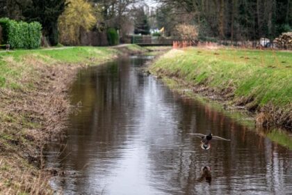 Rotbach in Eppinghoven: Pläne aus 2022 werden 2026 umgesetzt – das wird erreicht