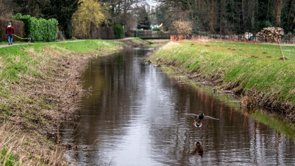 Rotbach in Eppinghoven: Pläne aus 2022 werden 2026 umgesetzt – das wird erreicht