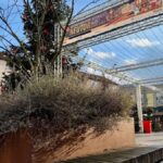 Sicherheit auf Weihnachtsmärkten: Warum Dinslaken keine Probleme hat