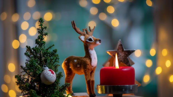 Spenden in der Weihnachtszeit: Diese Dinslakener Vereine sind seriös