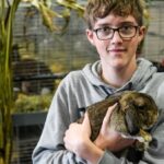 Süß und erfolgreich: Die Kaninchen von Nico (14) aus Voerde sind spitze in NRW