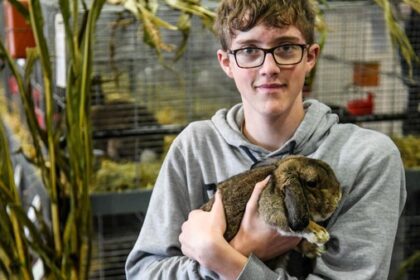 Süß und erfolgreich: Die Kaninchen von Nico (14) aus Voerde sind spitze in NRW