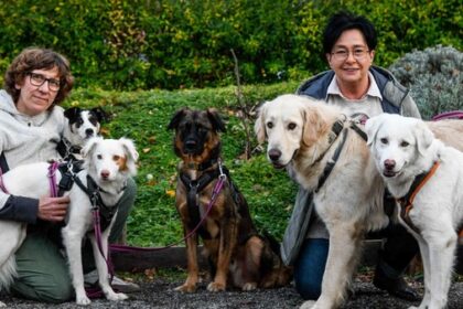 Voerde: Astrid rettet fünf Hunde aus Tierhilfe - „im Sack weggeschmissen“