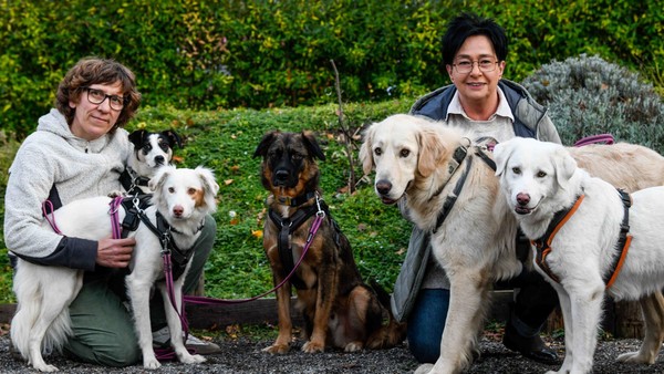 Voerde: Astrid rettet fünf Hunde aus Tierhilfe - „im Sack weggeschmissen“