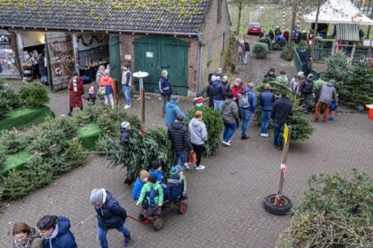 Weihnachtsmärkte in Hünxe: Glühwein, Stockbrot und Tannenbaumschlagen