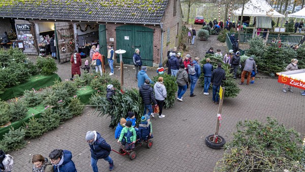 Weihnachtsmärkte in Hünxe: Glühwein, Stockbrot und Tannenbaumschlagen