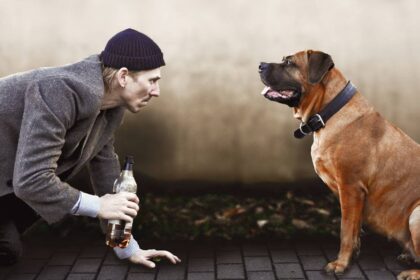 Burghofbühne Dinslaken: „Sicht auf die Welt, uns allen heute guttun kann“