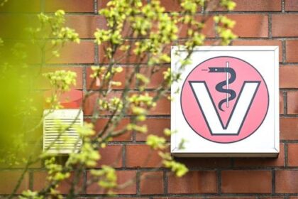 Dinslakener Tierarzt bietet Online-Sprechstunde über Feiertage an: Das kostet es