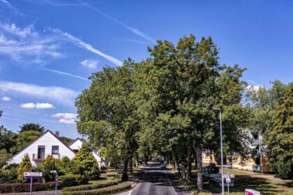 „Heikles Thema“ Sanierung Bahnhofstraße in Voerde: Können Bäume gerettet werden?