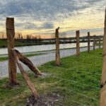 Rheinaue Duisburg: Zaun gegen Hunde und Spaziergänger – aber nur bis Dinslaken