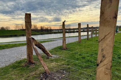 Rheinaue Duisburg: Zaun gegen Hunde und Spaziergänger – aber nur bis Dinslaken