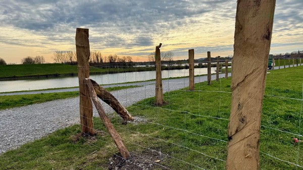 Rheinaue Duisburg: Zaun gegen Hunde und Spaziergänger – aber nur bis Dinslaken
