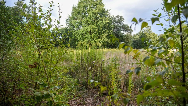 Umgestaltung des Freibadgeländes Hiesfeld – Stadt Dinslaken legt Vorschlag vor