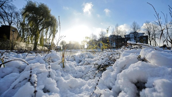 Weiße Weihnacht in Dinslaken? Meteorologe verrät seine Einschätzung