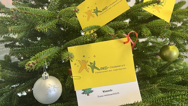 Wunschbaumaktion 2025: Hier hängen noch Wunschzettel an den Bäumen