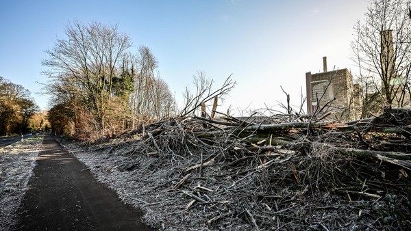 Kaminsprengung in Voerde schlägt „Schneise“ in Gehölzstreifen: Das sagt RWE