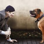 Kultroman des Element-of-Crime-Sängers: Burghofbühne zeigt „Herr Lehmann“