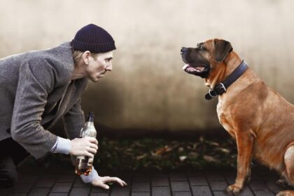 Kultroman des Element-of-Crime-Sängers: Burghofbühne zeigt „Herr Lehmann“