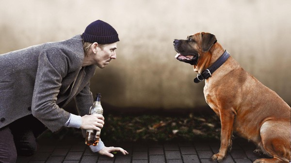 Kultroman des Element-of-Crime-Sängers: Burghofbühne zeigt „Herr Lehmann“