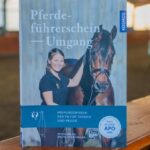 Unverzichtbares Wissen: Warum ein Pferdeführerschein auch Schützenvereinen hilft