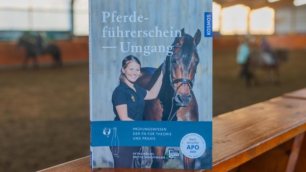Unverzichtbares Wissen: Warum ein Pferdeführerschein auch Schützenvereinen hilft