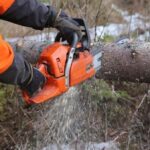 Waldarbeiten in Hünxe: Wald- und Wanderwege sind ab Montag gesperrt