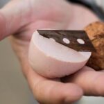 Giftköder in Dinslaken: „Ich verstehe nicht, wie man Hunde so sehr hassen kann“