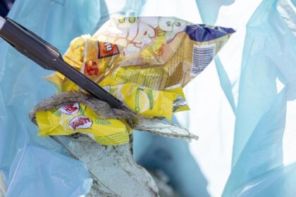 Hünxe macht Dorfputz: So können sich Bürger am „Tag der Umwelt“ beteiligen