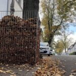 Keine Laubkörbe in Dinslaken: Stadt lehnt Vorschlag ab – das ist der Grund