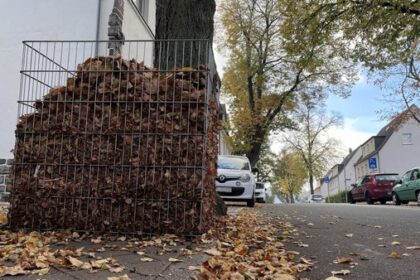 Keine Laubkörbe in Dinslaken: Stadt lehnt Vorschlag ab – das ist der Grund