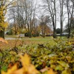 Neues Wohnquartier Voerde: Das plant der Investor und so viele Anfragen gibt es